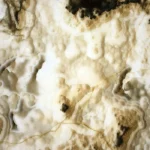 Onyx Cloudy-1