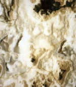 Onyx Cloudy-1